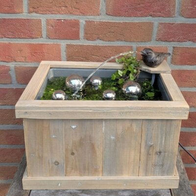 Miniteich Kompletset Wasserspeier Spatz mit Pumpe und Holzkiste