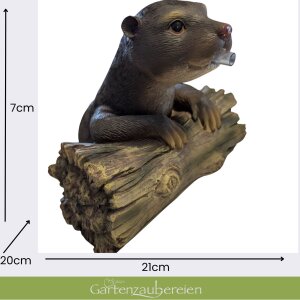Miniteich Komplettset mit Wasserspeier Otter& Pumpe kaufen