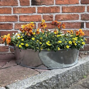 Zinkwanne oval 21 Liter Miniteich