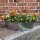 Zinkwanne oval 21 Liter Miniteich