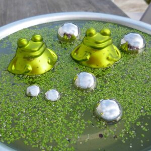 Teich-Set Schwimmfrösche für Miniteich &...