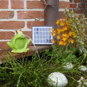 Wasserspeier Frosch hellgrün Keramik, Solarpumpe